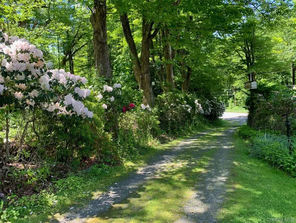 a view of a forest