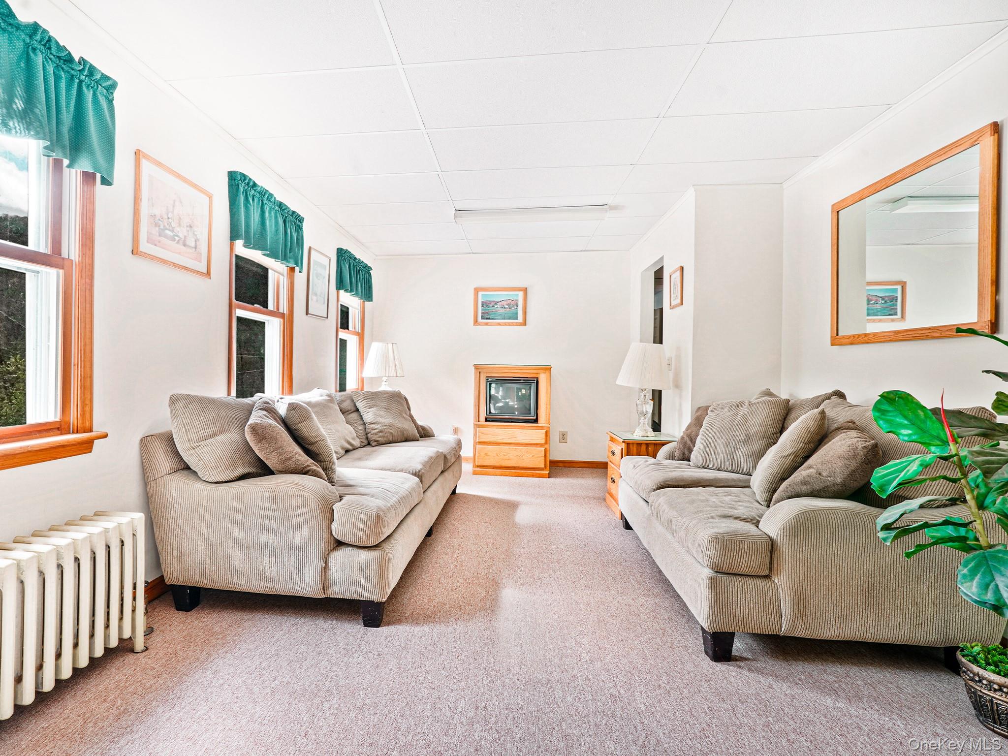 2182 Old Rte 17 Roscoe, NY 12776 - Photo 14 of 37 a living room with furniture and a fireplace