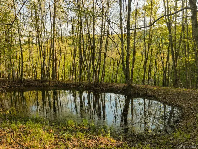 a view of a back yard