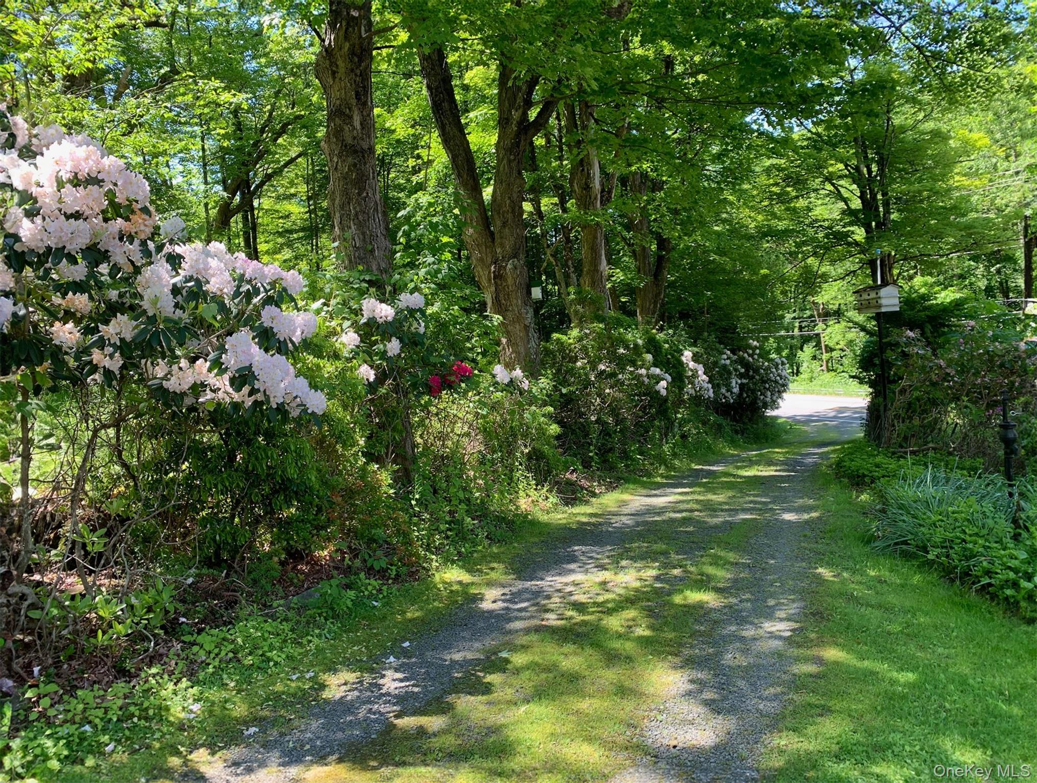 2182 Old Rte 17 Roscoe, NY 12776 - Photo 18 of 37 a view of a forest