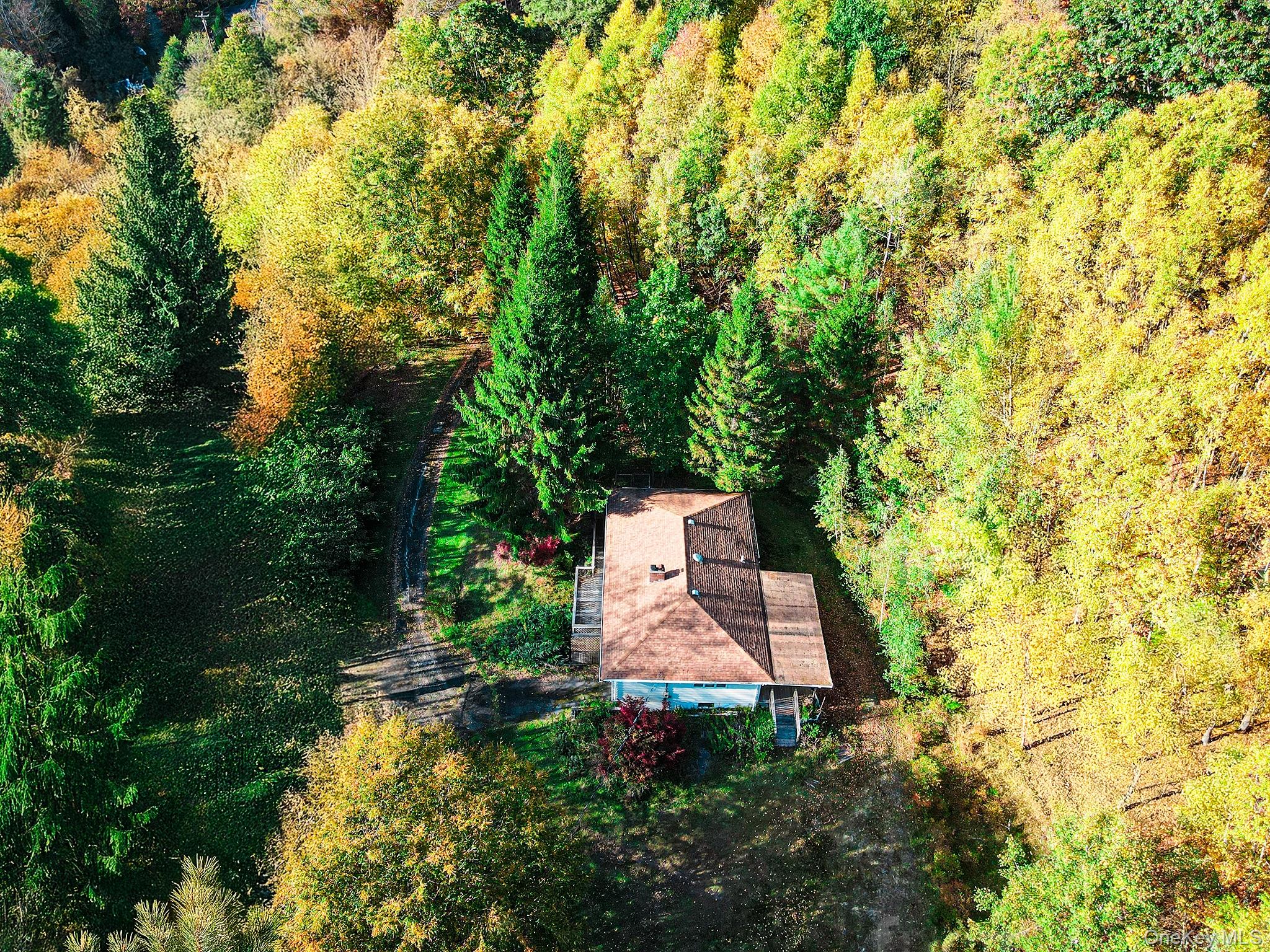 2182 Old Rte 17 Roscoe, NY 12776 - Photo 21 of 37 a view of a back yard