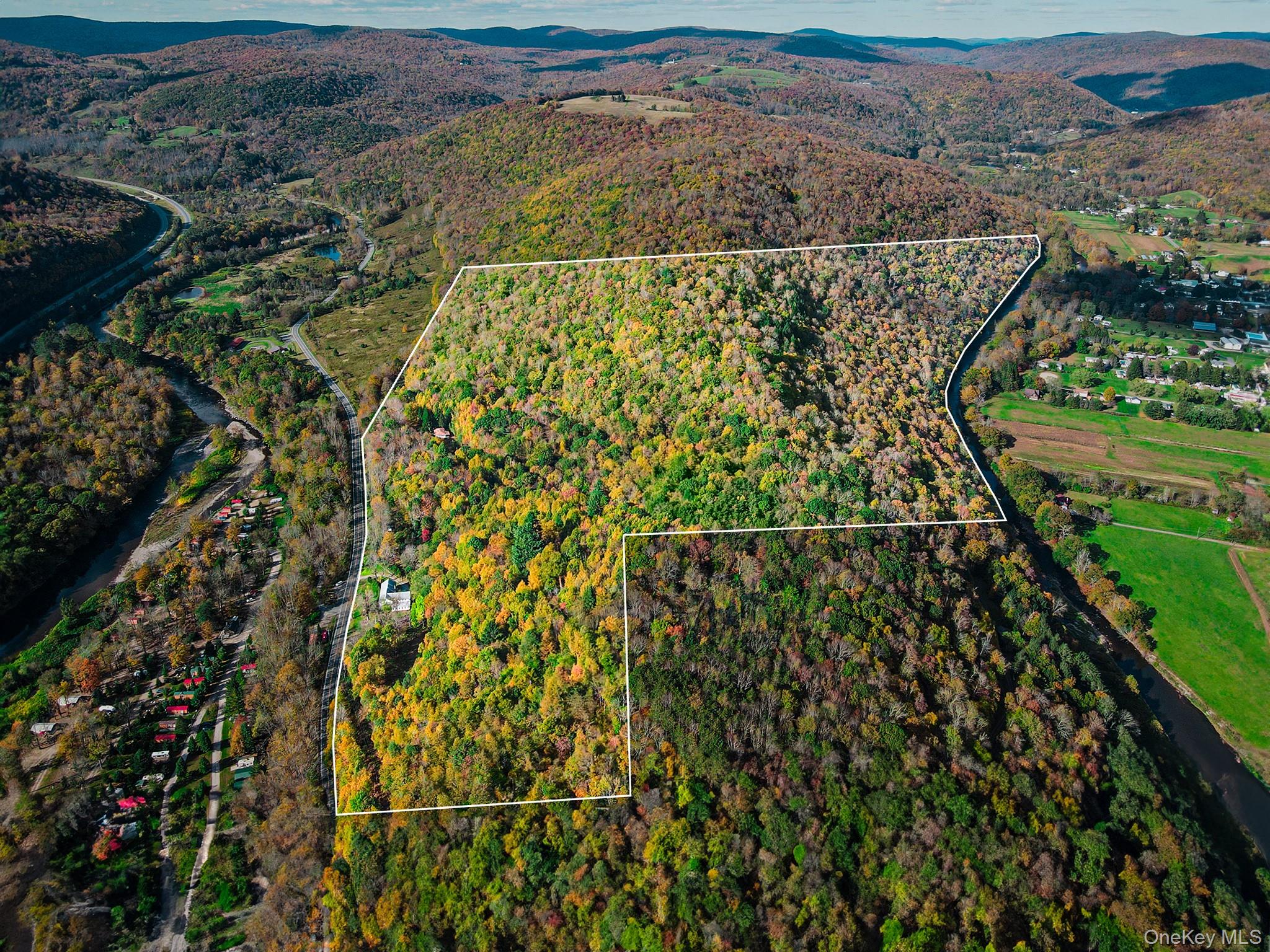 2182 Old Rte 17 Roscoe, NY 12776 - Photo 30 of 37 Aerial view of a mountain backdrop