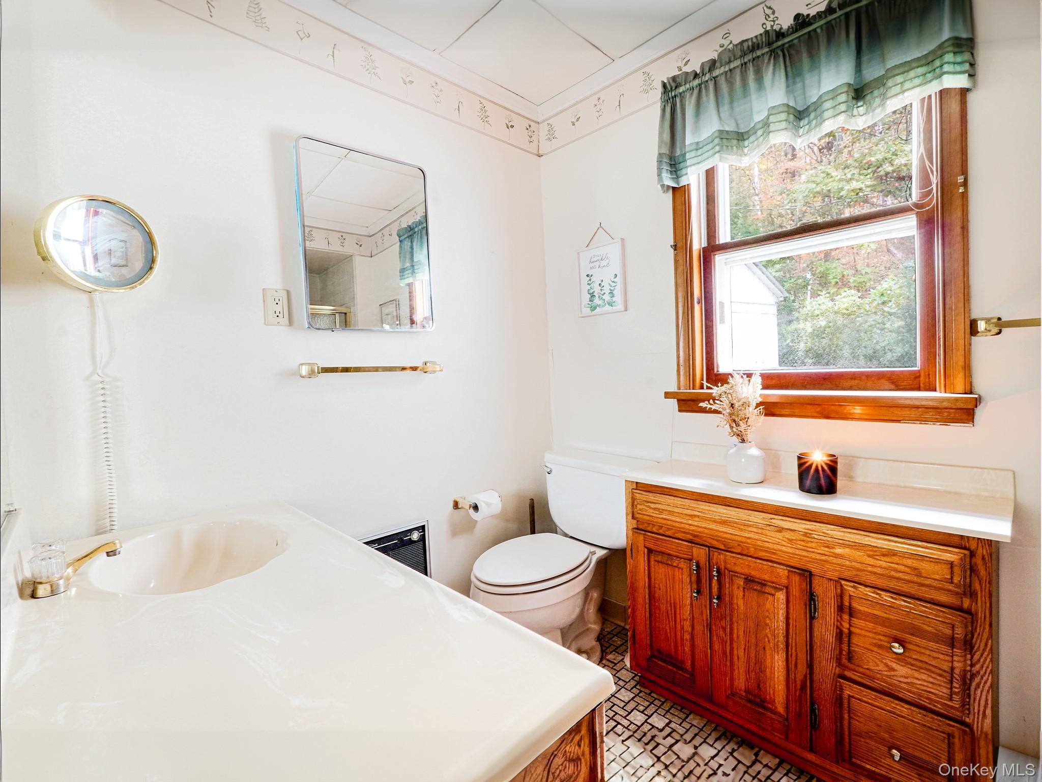 2182 Old Rte 17 Roscoe, NY 12776 - Photo 10 of 37 a bathroom with a sink a toilet and a mirror