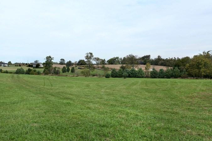 3850 Haley Road Lexington, KY 40516 - Photo 7 of 40 Photo 7