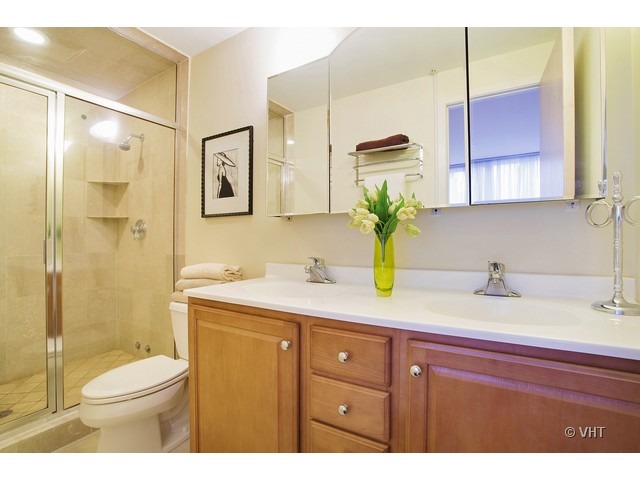 663 North Sangamon Street, Unit 4S Chicago, IL 60642 - Photo 7 of 10