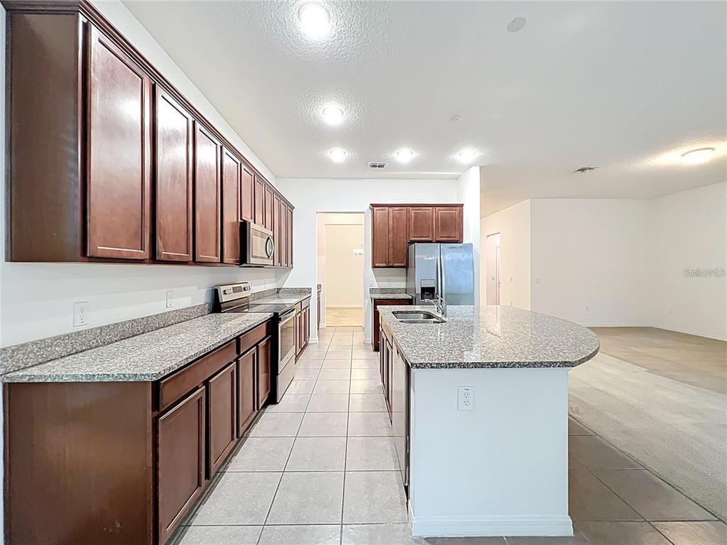 12821 Westside Vlg Loop Windermere, FL 34786 - Photo 10 of 42 a kitchen with stainless steel appliances granite countertop a sink counter space cabinets and a large mirror