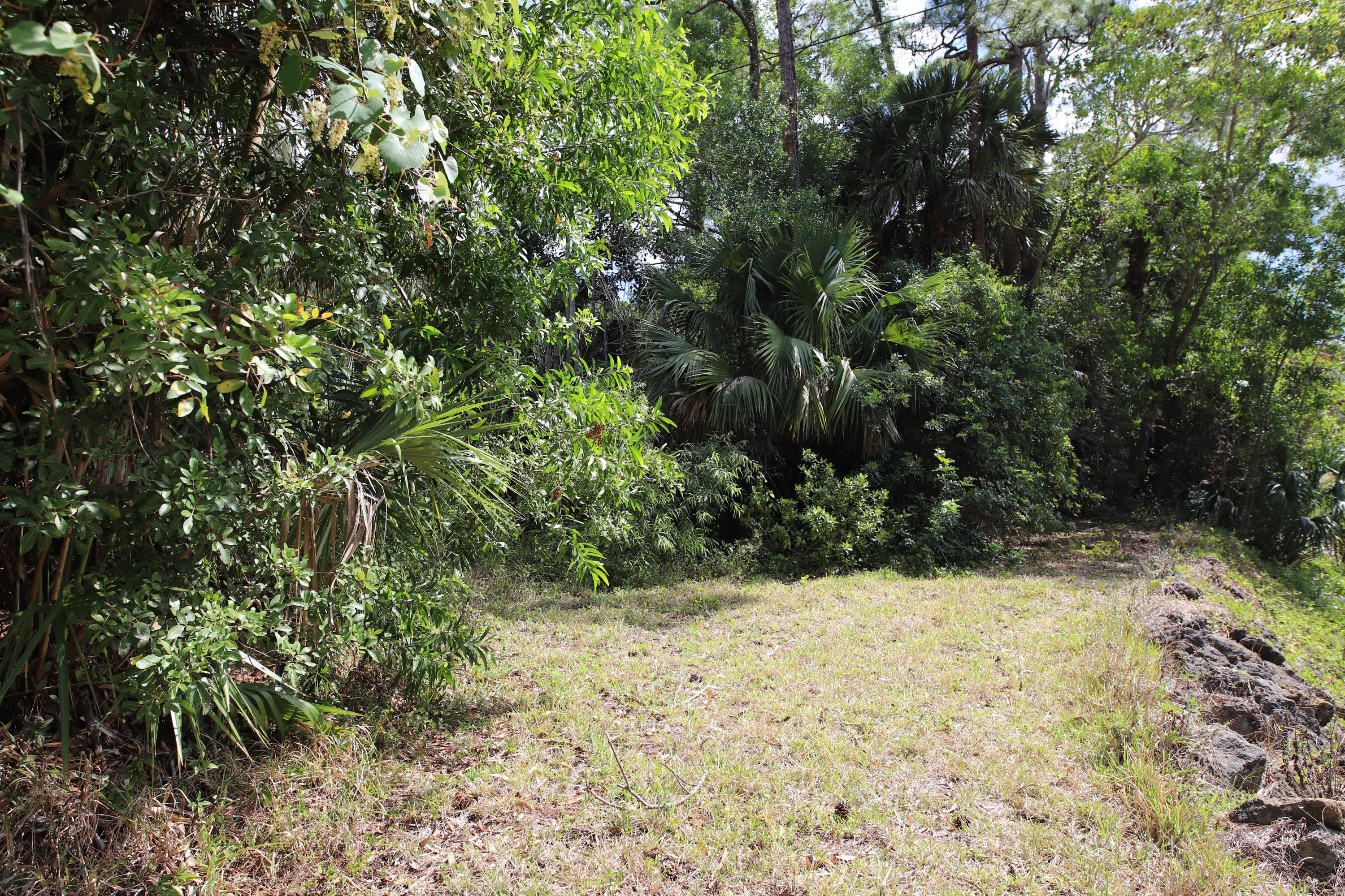 Tbd Sandy Run Road Jupiter, FL 33478 - Photo 1 of 26 Sandy Run West Side