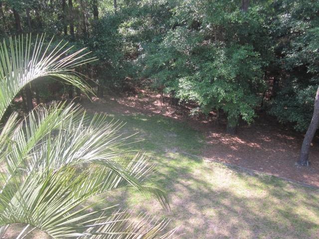 8380 Palmetto Road Edisto Island, SC 29438 - Photo 34 of 34 2016-05-12 03.52.48 (640x480)