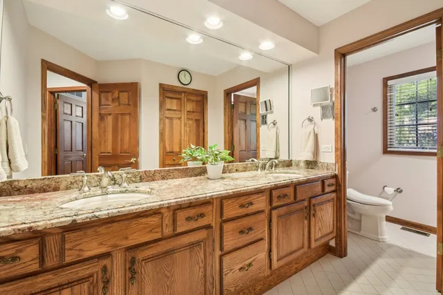 a view of a yard in front of a house with plants and large tree