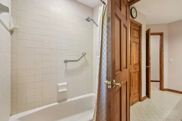 a view of a yard with plants and large trees