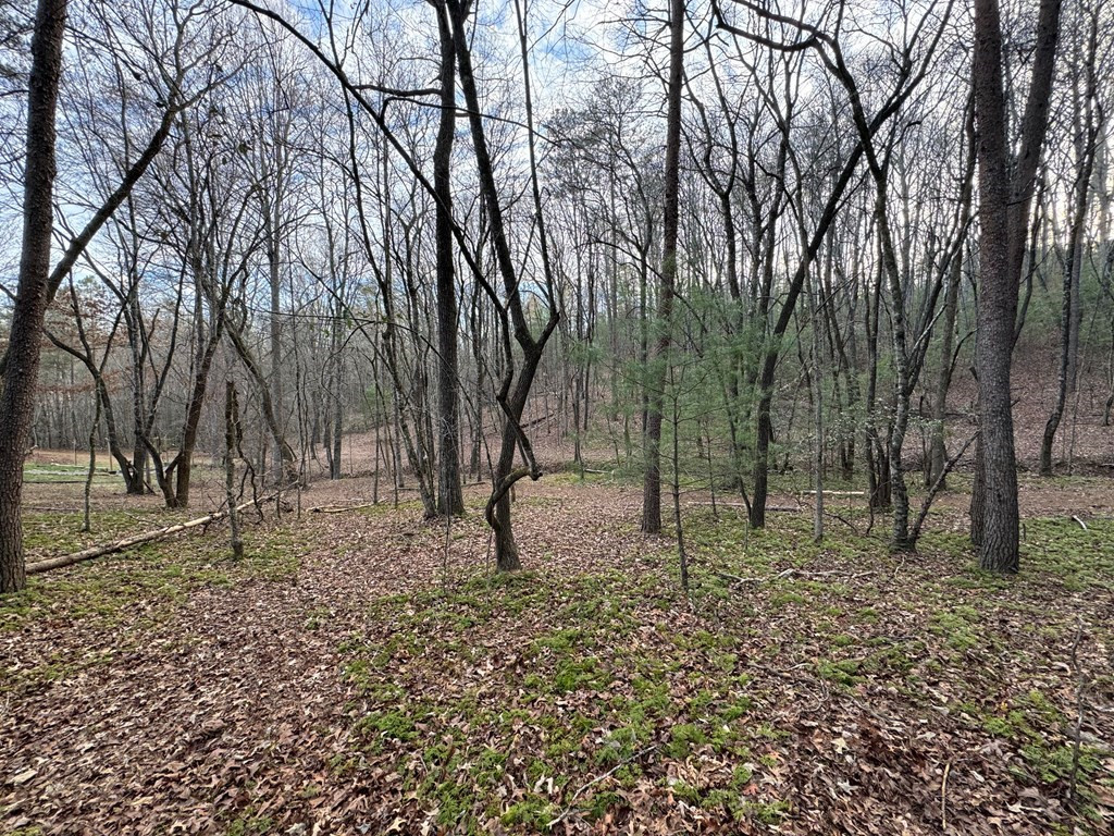 Lot 23 Blackgum Subdivision Blue Ridge Blue Ridge, GA 30513 - Photo 14 of 26