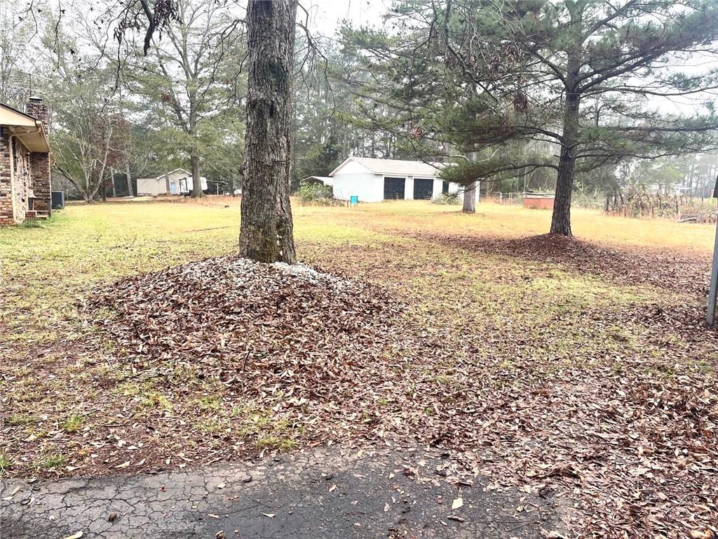 12266 Brown Bridge Road Covington, GA 30016 - Photo 12 of 12 a view of a yard with yellow and tree