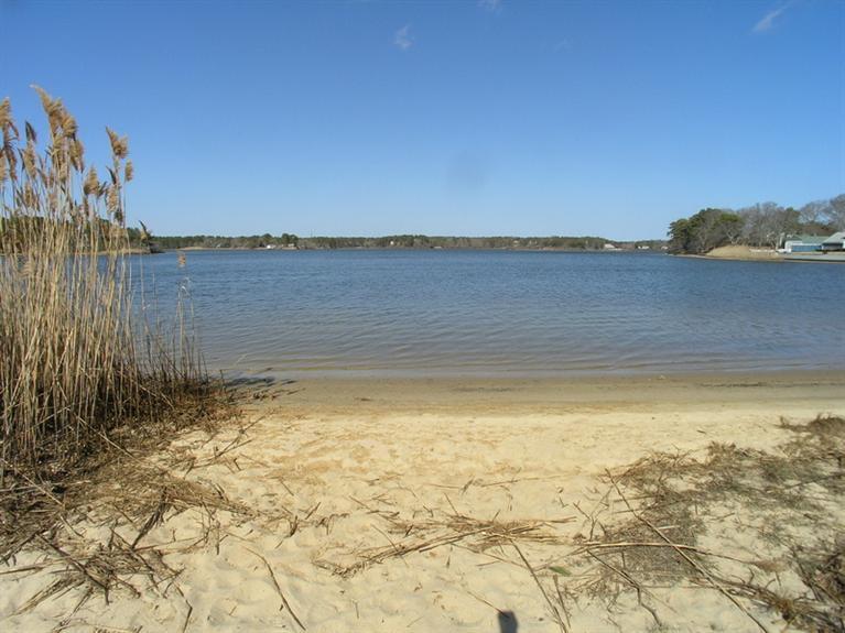 14 Knox Road Dennis Port, MA 02639 - Photo 3 of 14