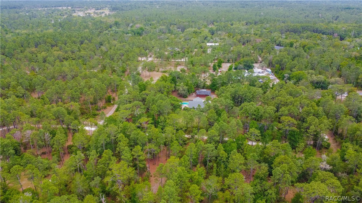 6479 West Candier Court Dunnellon, FL 34433 - Photo 64 of 71 Gallery Image 64
