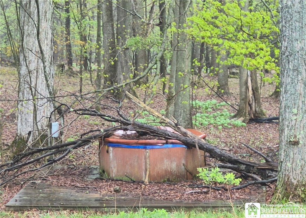 2552 Thornton Road Charlotte, NY 14782 - Photo 15 of 17 Hot tub