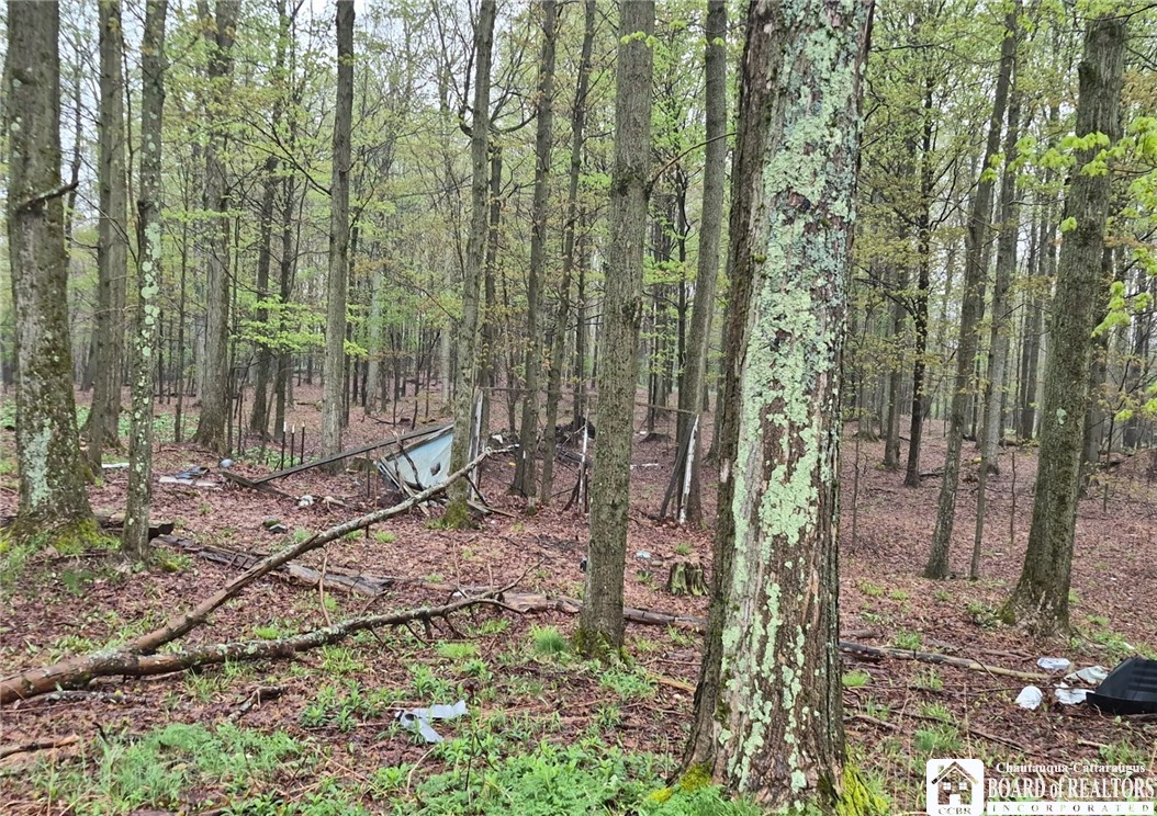 2552 Thornton Road Charlotte, NY 14782 - Photo 3 of 17 Back lot