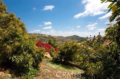 3786 Foxglove Lane Fallbrook, CA 92028 - Photo 33 of 34 a view of a houses with a yard