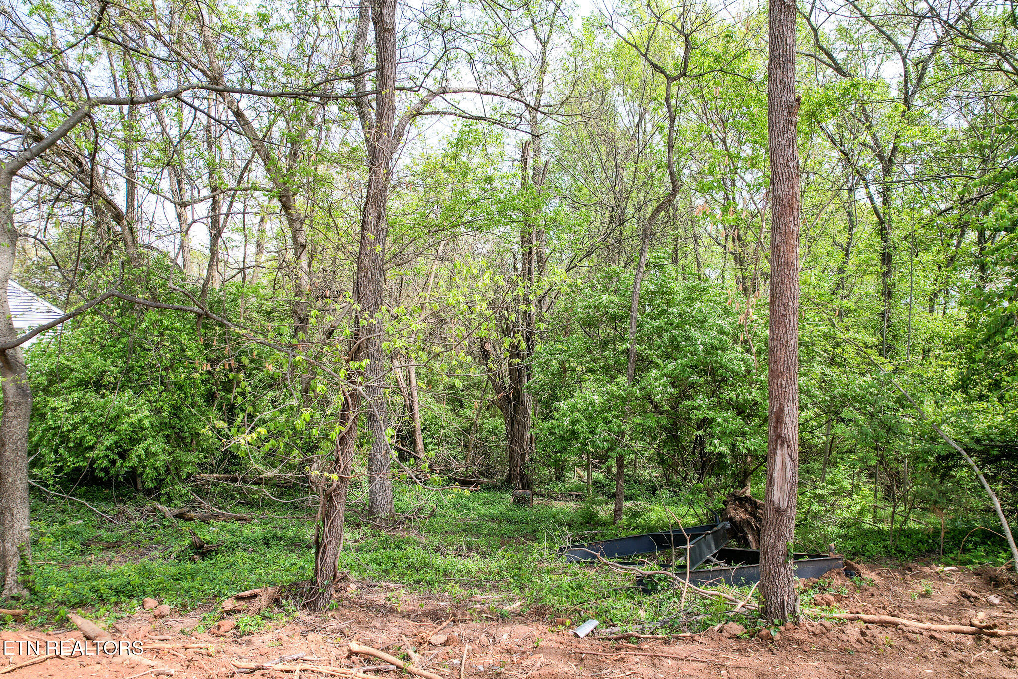 622 East Barton Ridge Road Greeneville, TN 37745 - Photo 6 of 51 DJI_0262