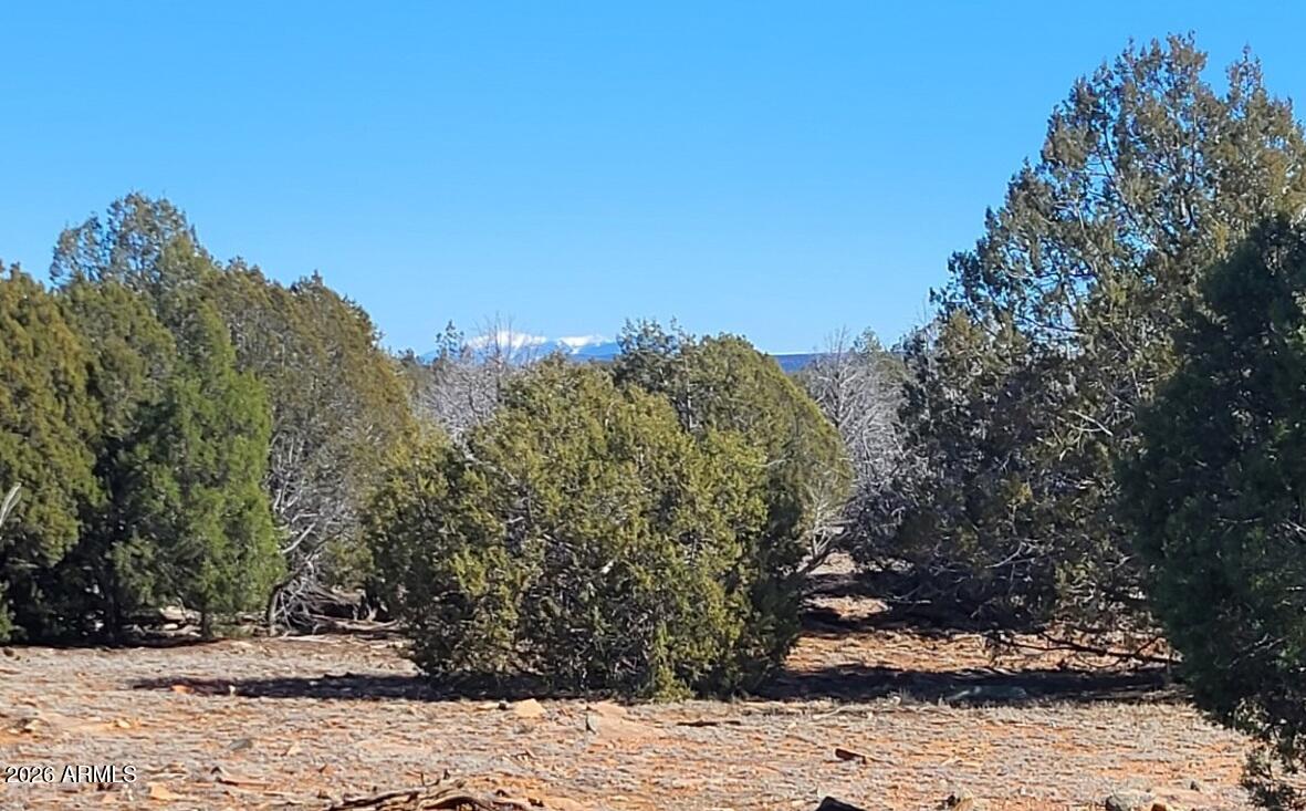 861-w2 861-w2 Cable Road Williams, AZ 86046 - Photo 14 of 16 f5bacf70-507a-429b-9b9b-96272b779847