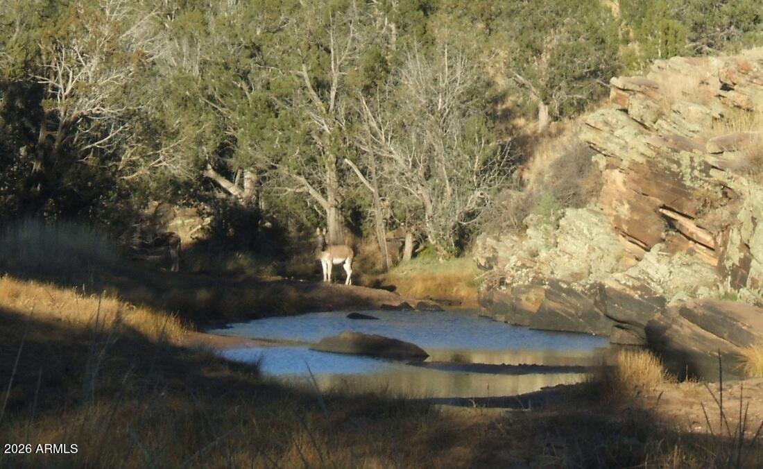 861-w2 861-w2 Cable Road Williams, AZ 86046 - Photo 16 of 16 8850324_orig