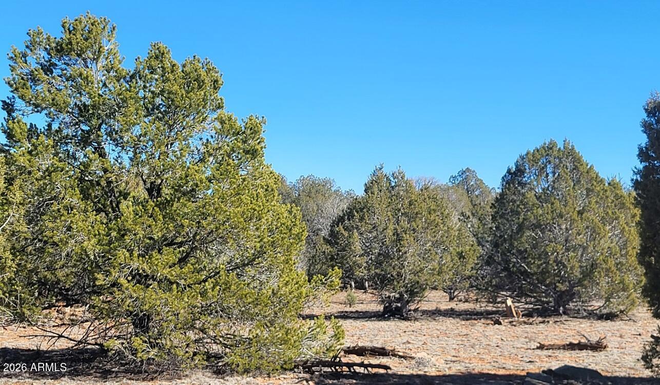 861-w2 861-w2 Cable Road Williams, AZ 86046 - Photo 3 of 16 acfae14b-c267-47e2-84b4-cf61006d0170