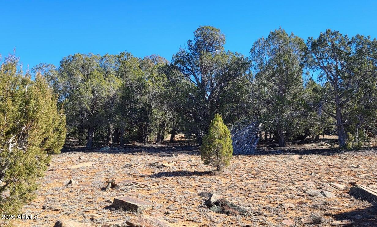 861-w2 861-w2 Cable Road Williams, AZ 86046 - Photo 4 of 16 ba442138-2a4a-46eb-abf5-ab8d24ce40ce