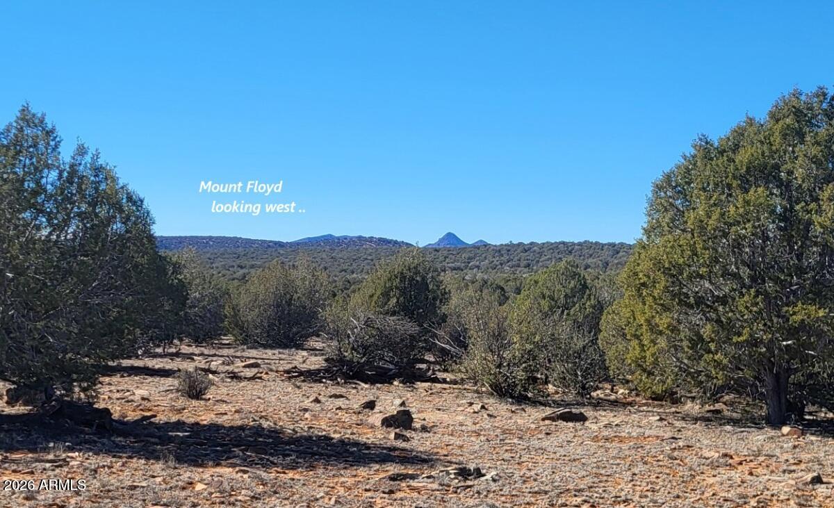 861-w2 861-w2 Cable Road Williams, AZ 86046 - Photo 6 of 16 9b673253-adc2-40f8-9ee2-60e05a8ca8eb