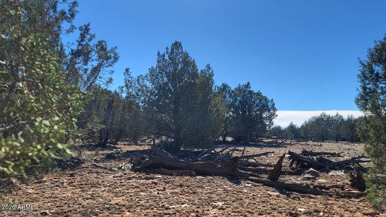 861-w2 861-w2 Cable Road Williams, AZ 86046 - Photo 8 of 16 b4df129b-f7f5-4683-b257-733dd16448be