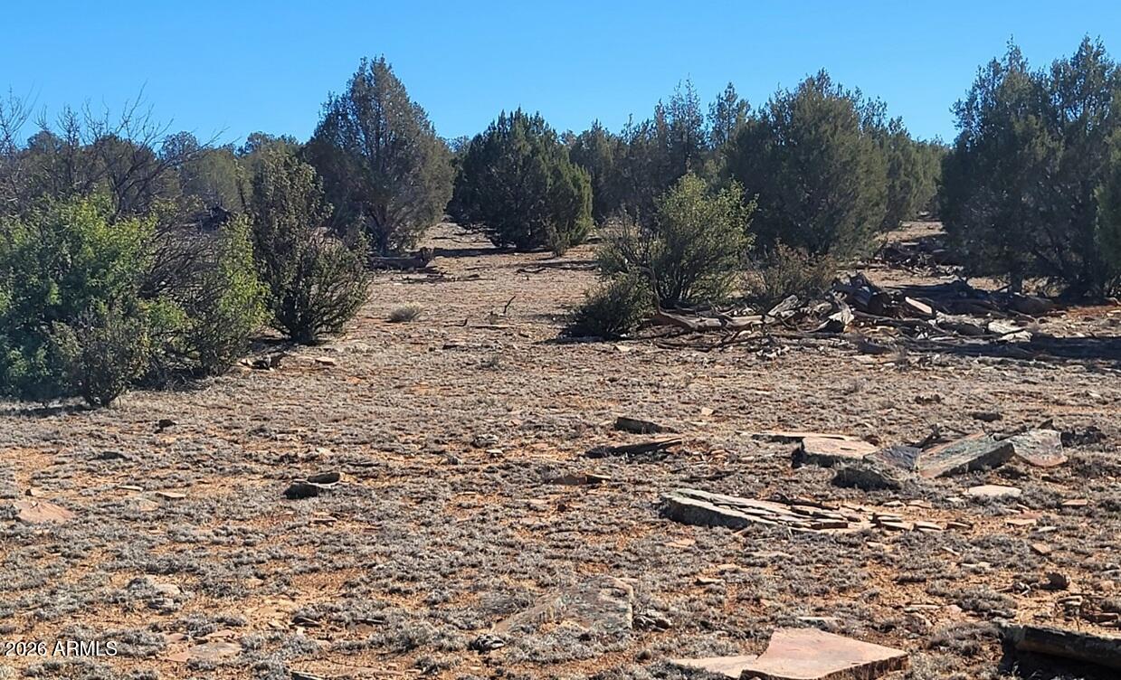 861-w2 861-w2 Cable Road Williams, AZ 86046 - Photo 9 of 16 9f0d6eb7-e056-4c97-ad83-d821346d9c20