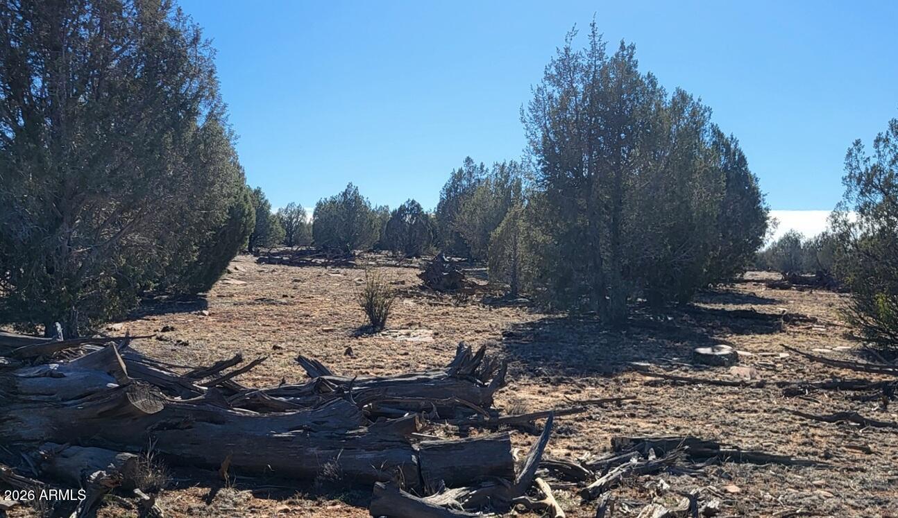 861-w2 861-w2 Cable Road Williams, AZ 86046 - Photo 10 of 16 4537a1a7-3875-45d5-a1db-31f5586e3d57