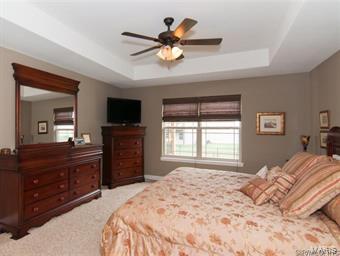 1236 Rutledge Drive Troy, IL 62294 - Photo 19 of 34 Gallery Image 19