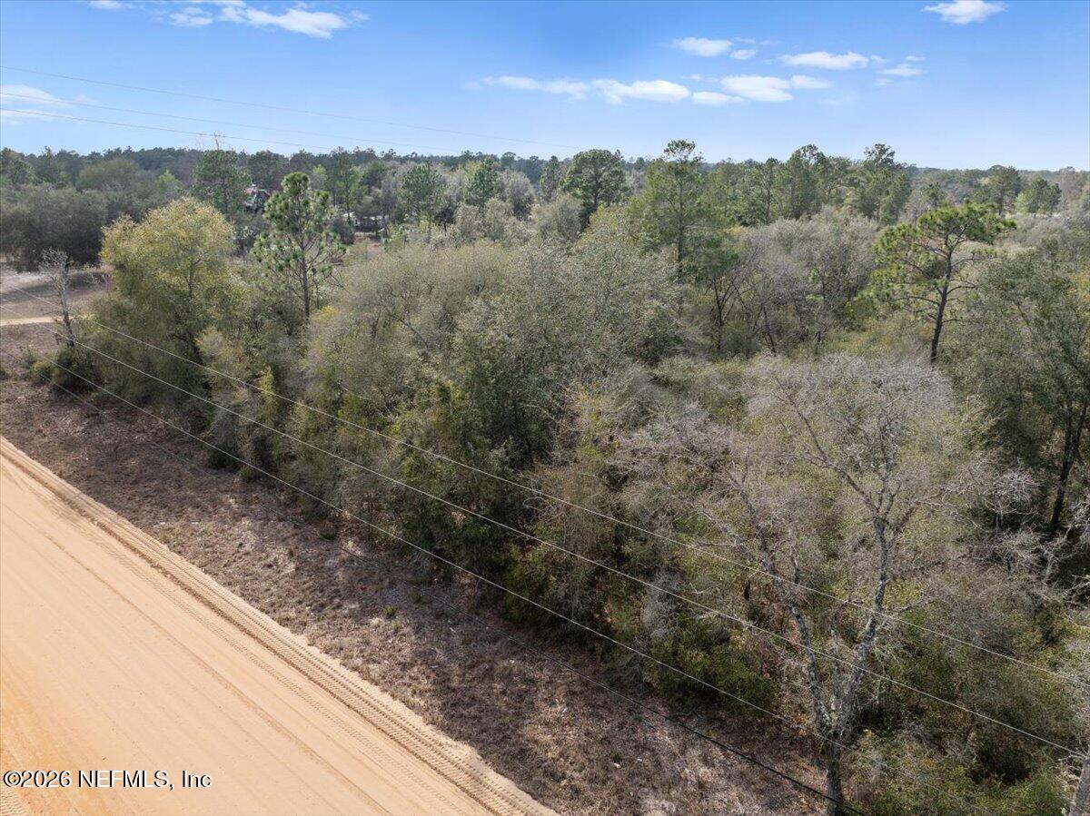 7678 Oak Forest Road Keystone Heights, FL 32656 - Photo 27 of 27 a view of a yard with a forest