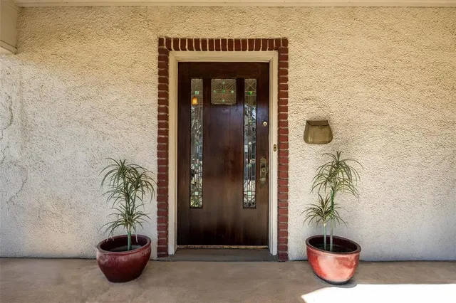 a glass door with a potted plant on it