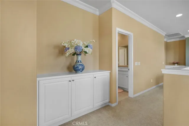 a room with storage and utility