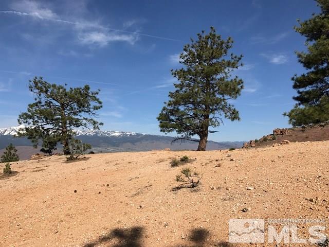 0 Geiger Grade Road, Unit 296 Reno, NV 89521 - Photo 12 of 23 Photo 12