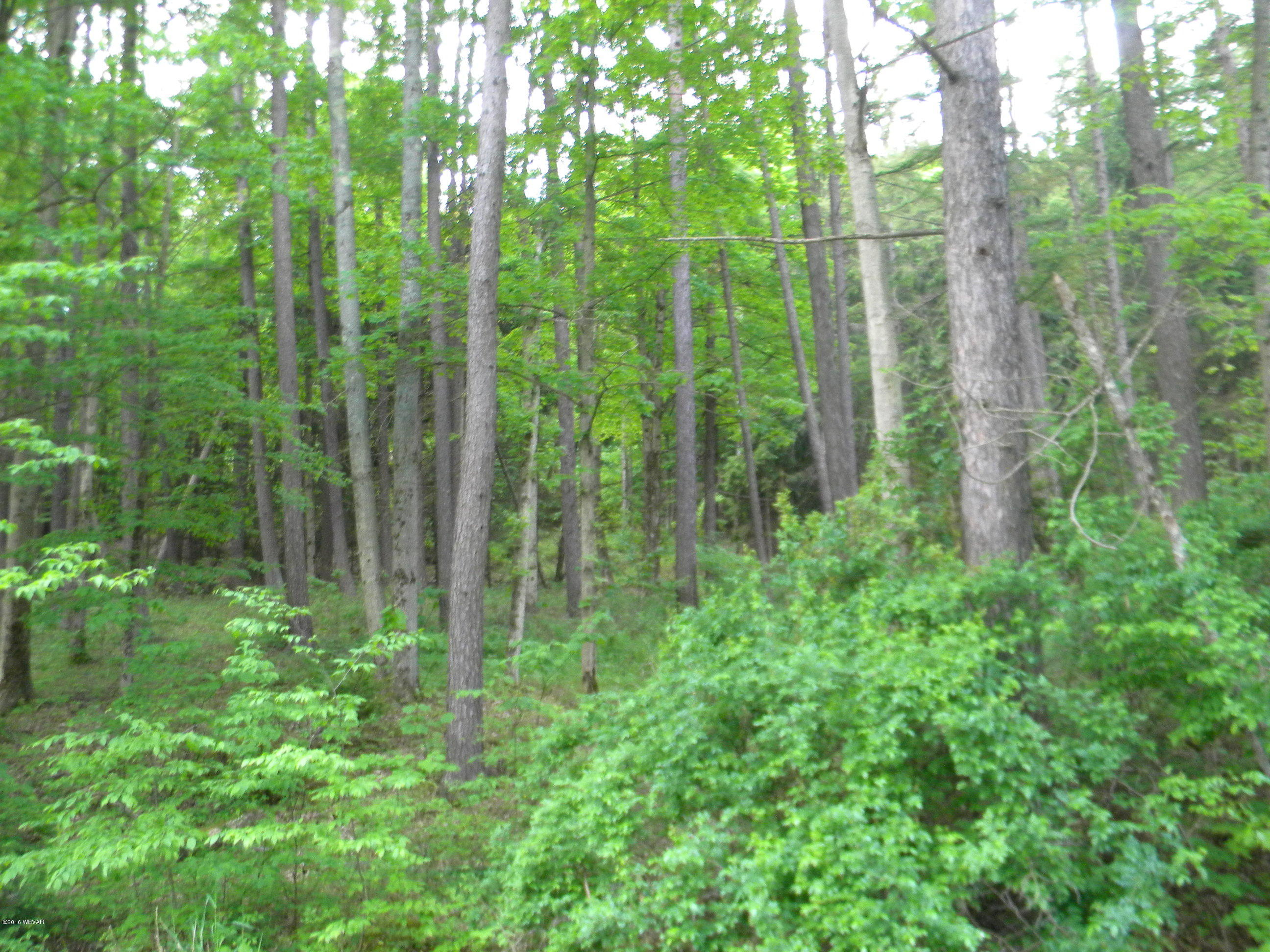 0 Saxer Road, Unit T409 Dushore, PA 18614 - Photo 14 of 14 Land