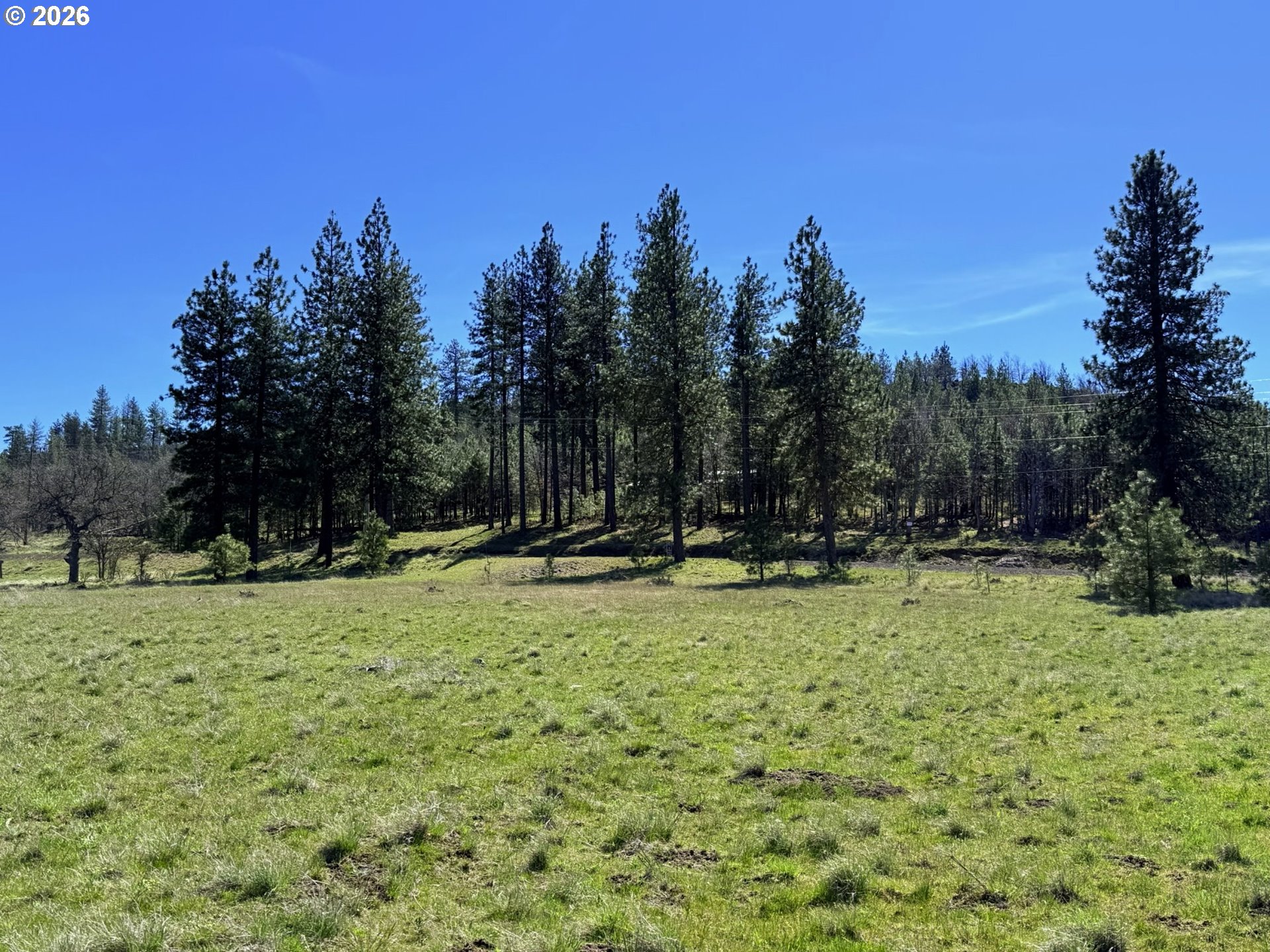 471 Woodland Road Goldendale, WA 98620 - Photo 11 of 43