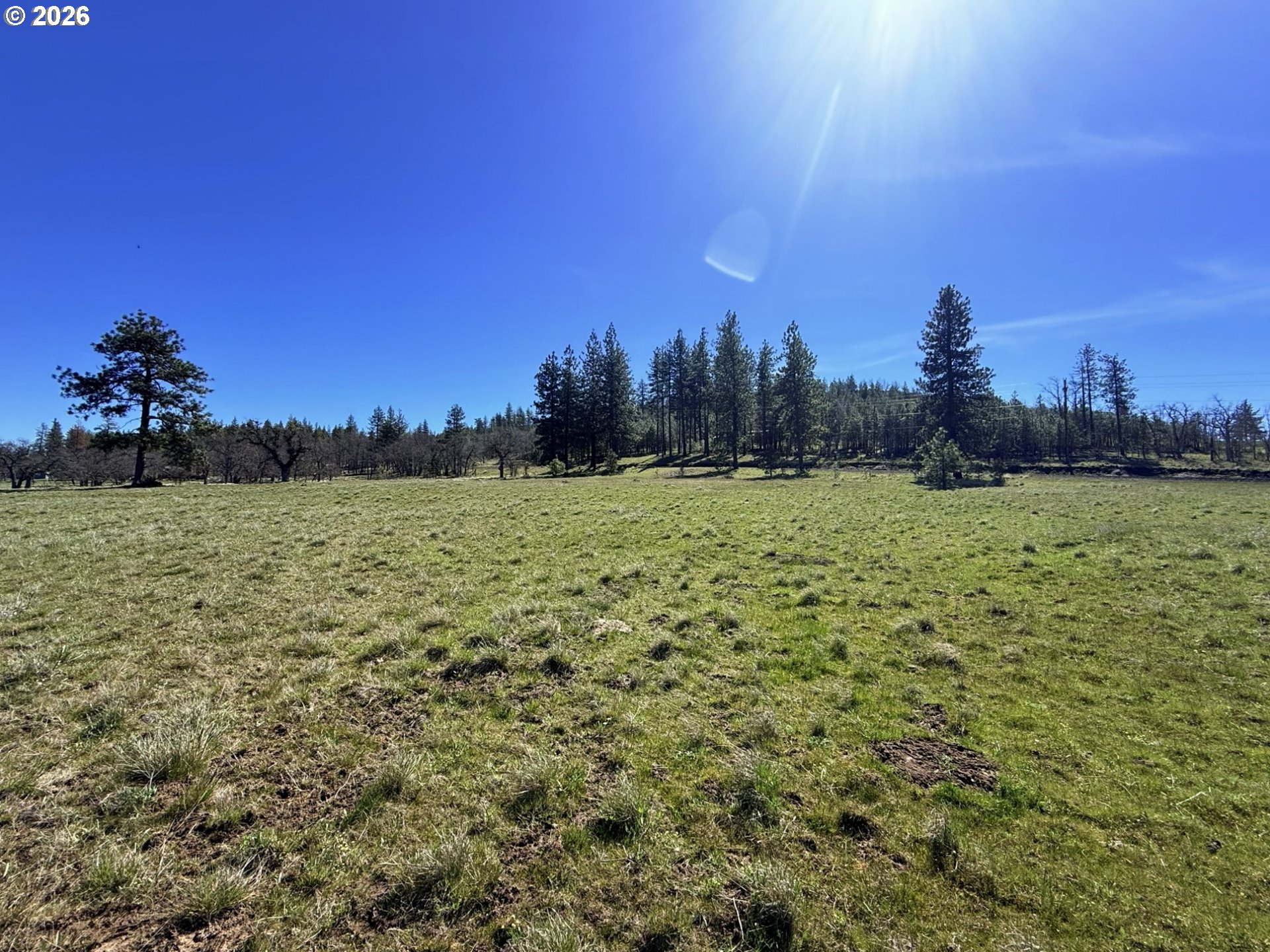 471 Woodland Road Goldendale, WA 98620 - Photo 12 of 43