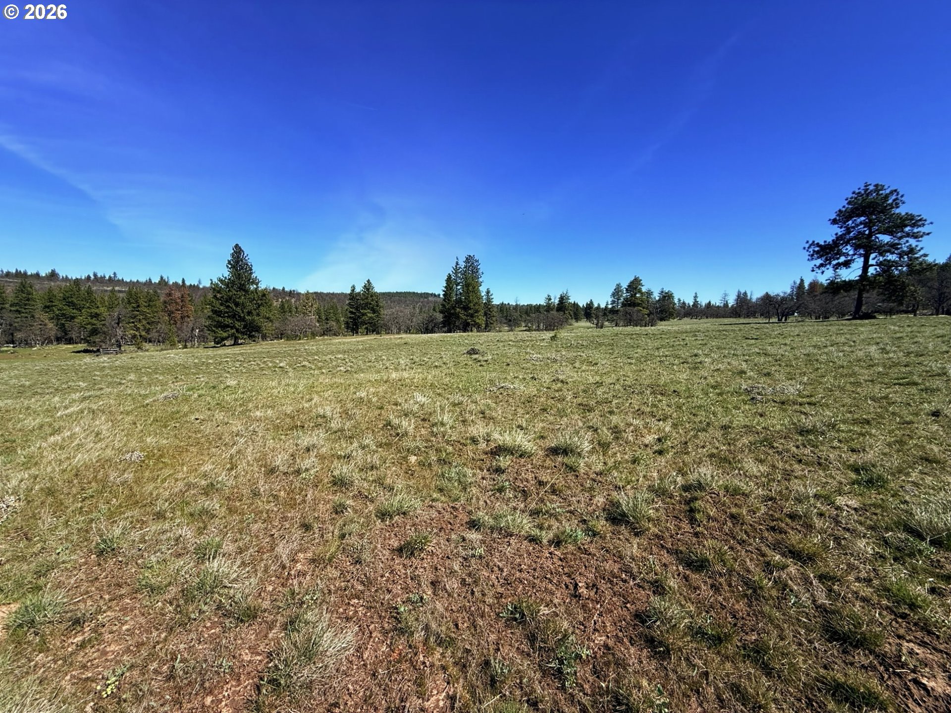 471 Woodland Road Goldendale, WA 98620 - Photo 13 of 43