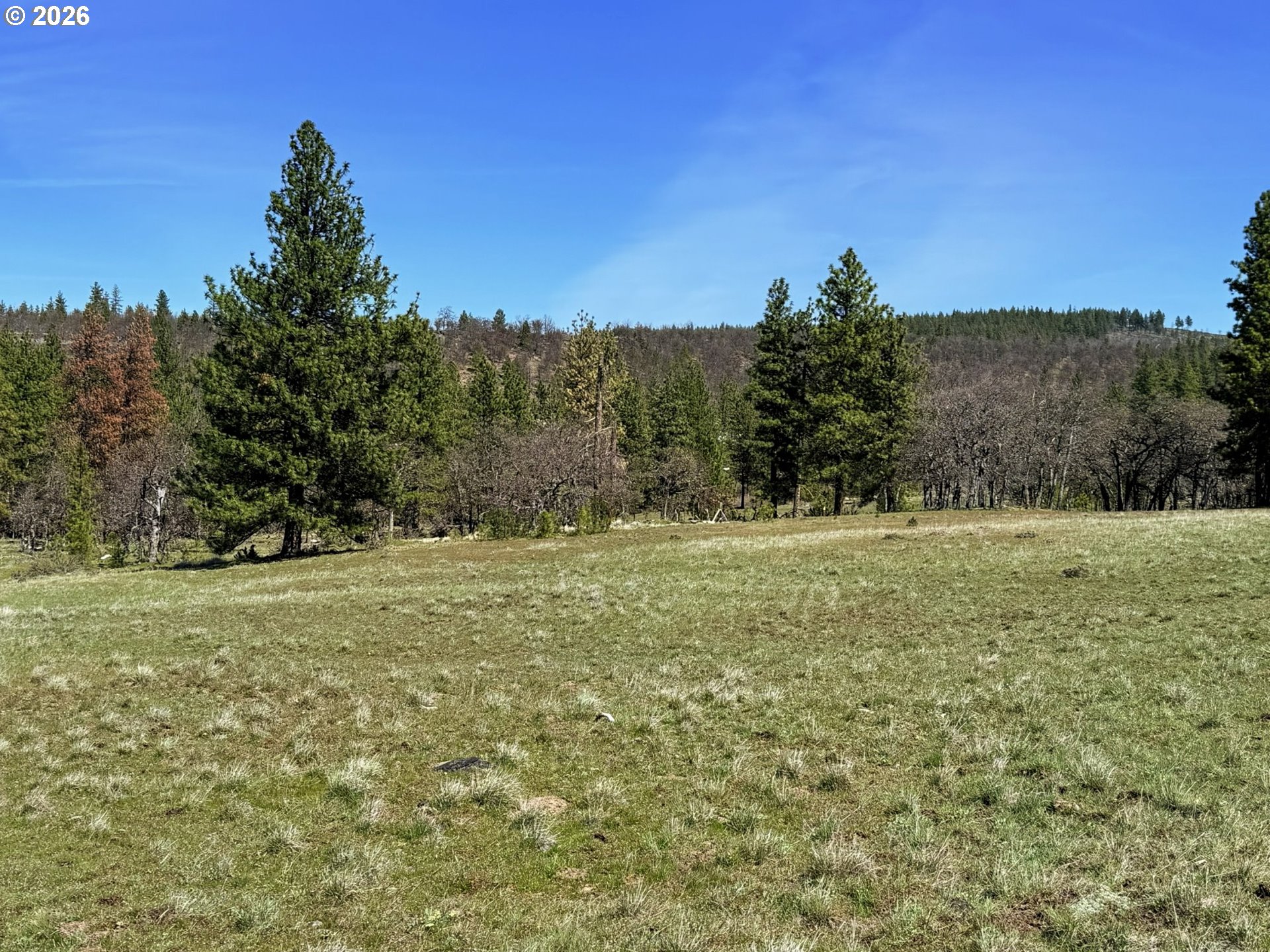 471 Woodland Road Goldendale, WA 98620 - Photo 14 of 43