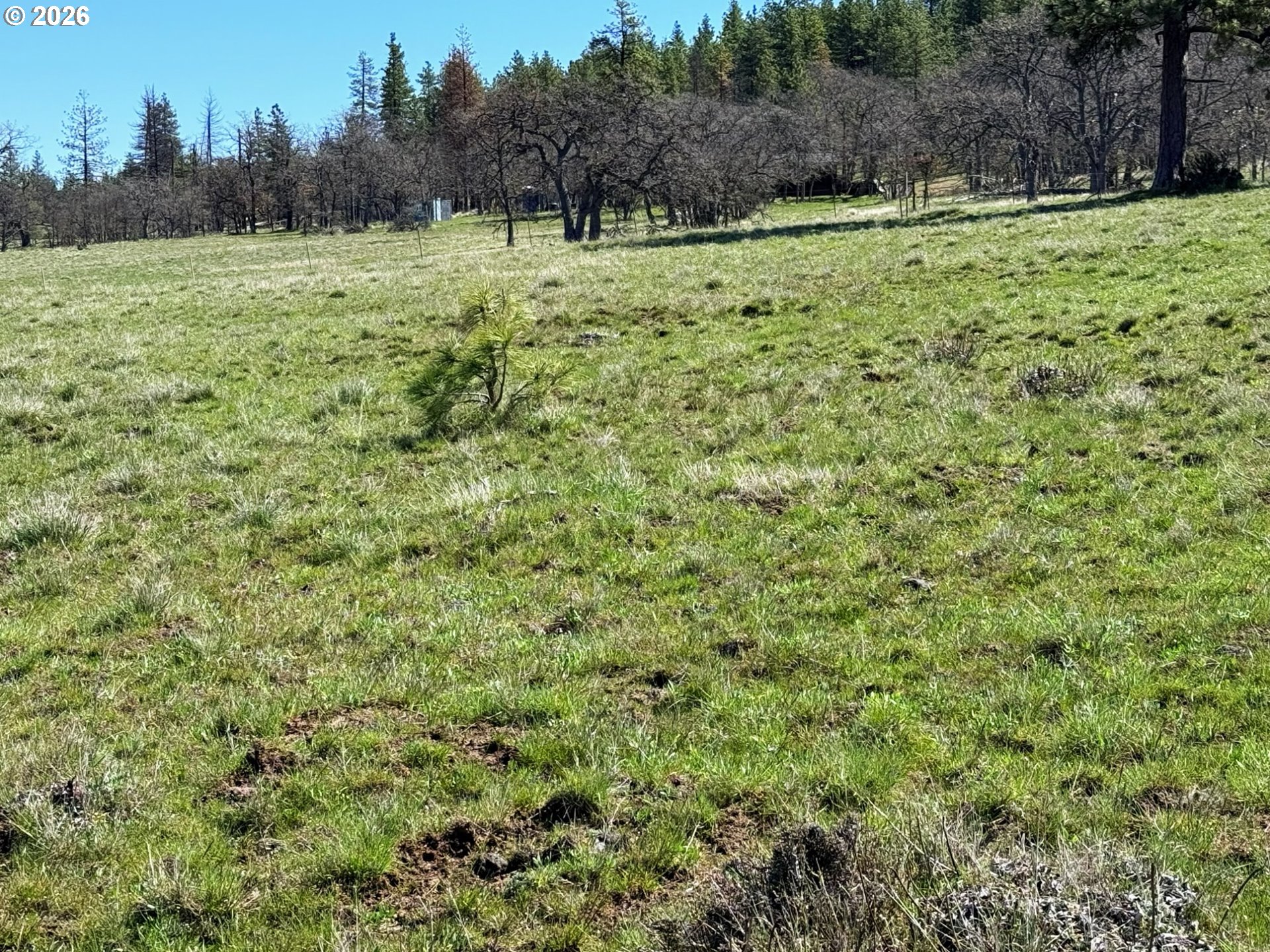 471 Woodland Road Goldendale, WA 98620 - Photo 15 of 43