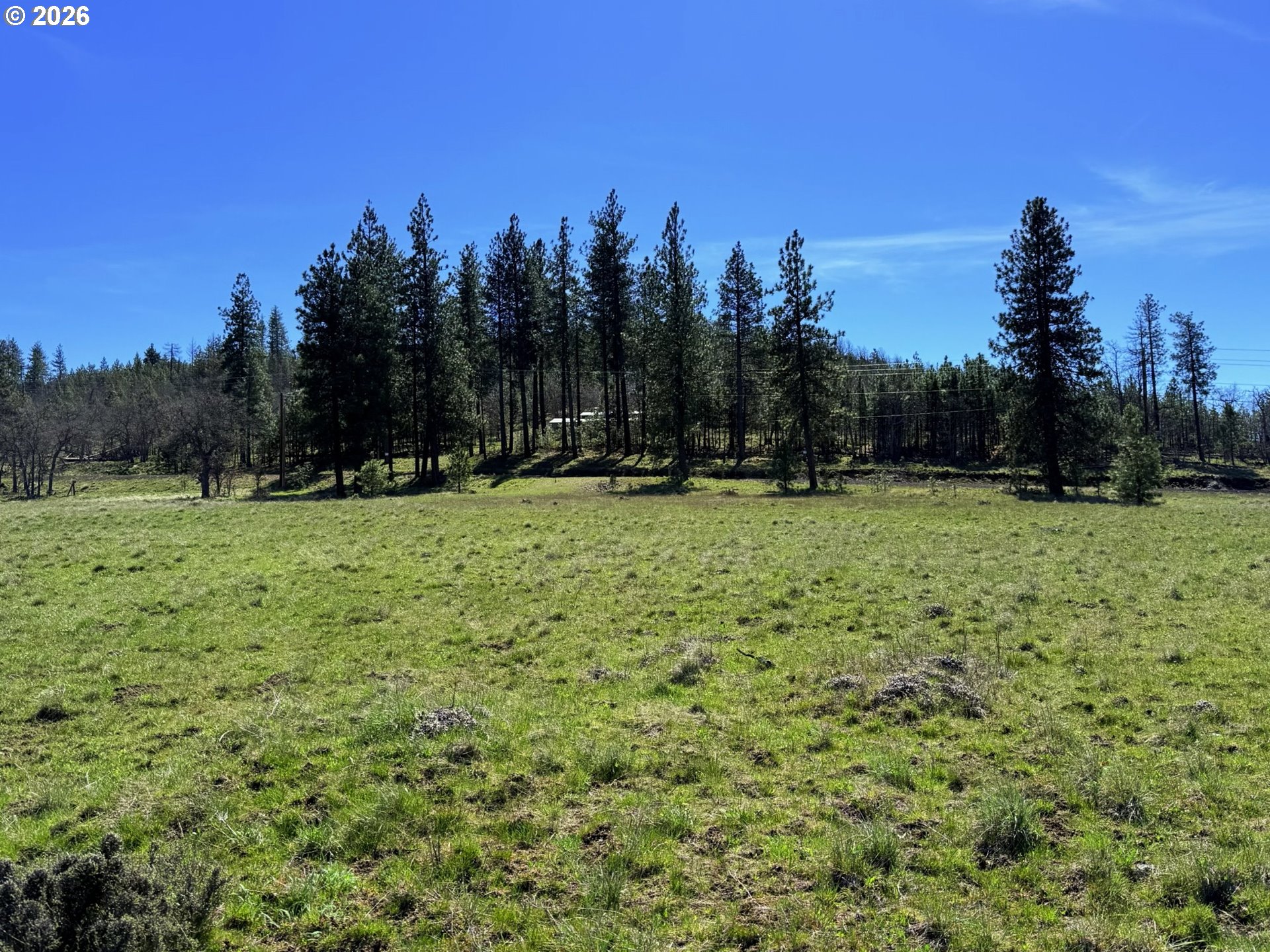 471 Woodland Road Goldendale, WA 98620 - Photo 16 of 43