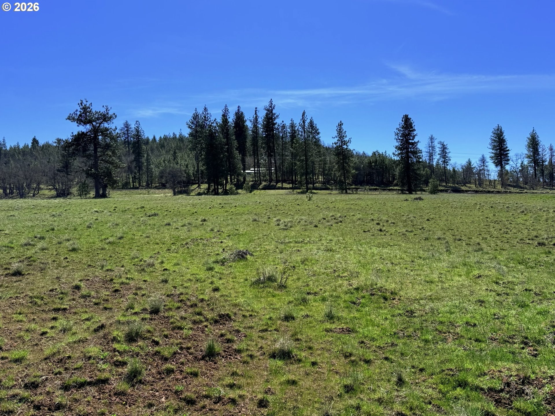 471 Woodland Road Goldendale, WA 98620 - Photo 17 of 43