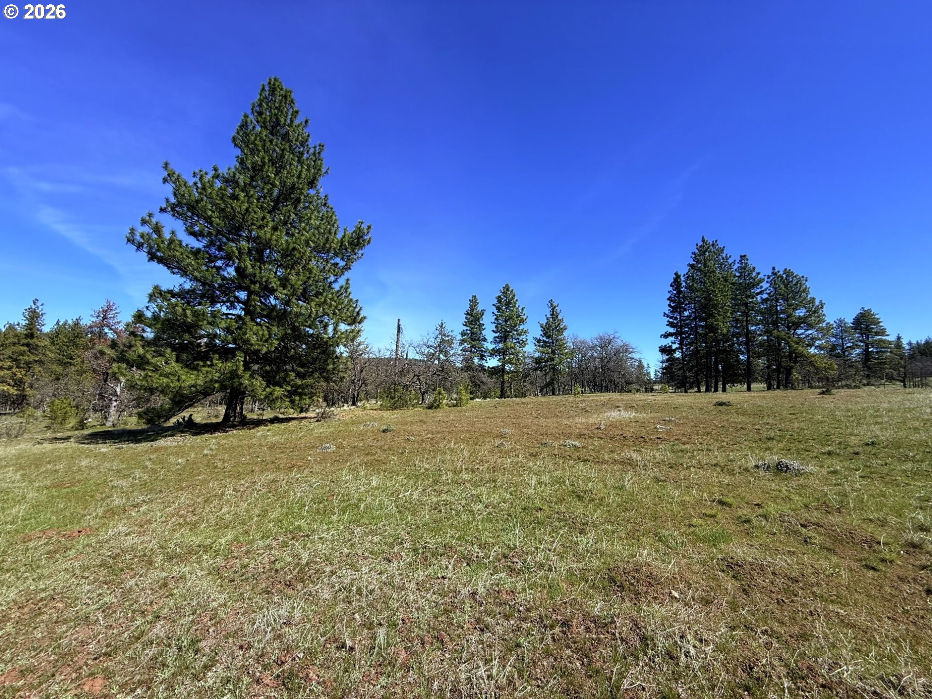 471 Woodland Road Goldendale, WA 98620 - Photo 18 of 43