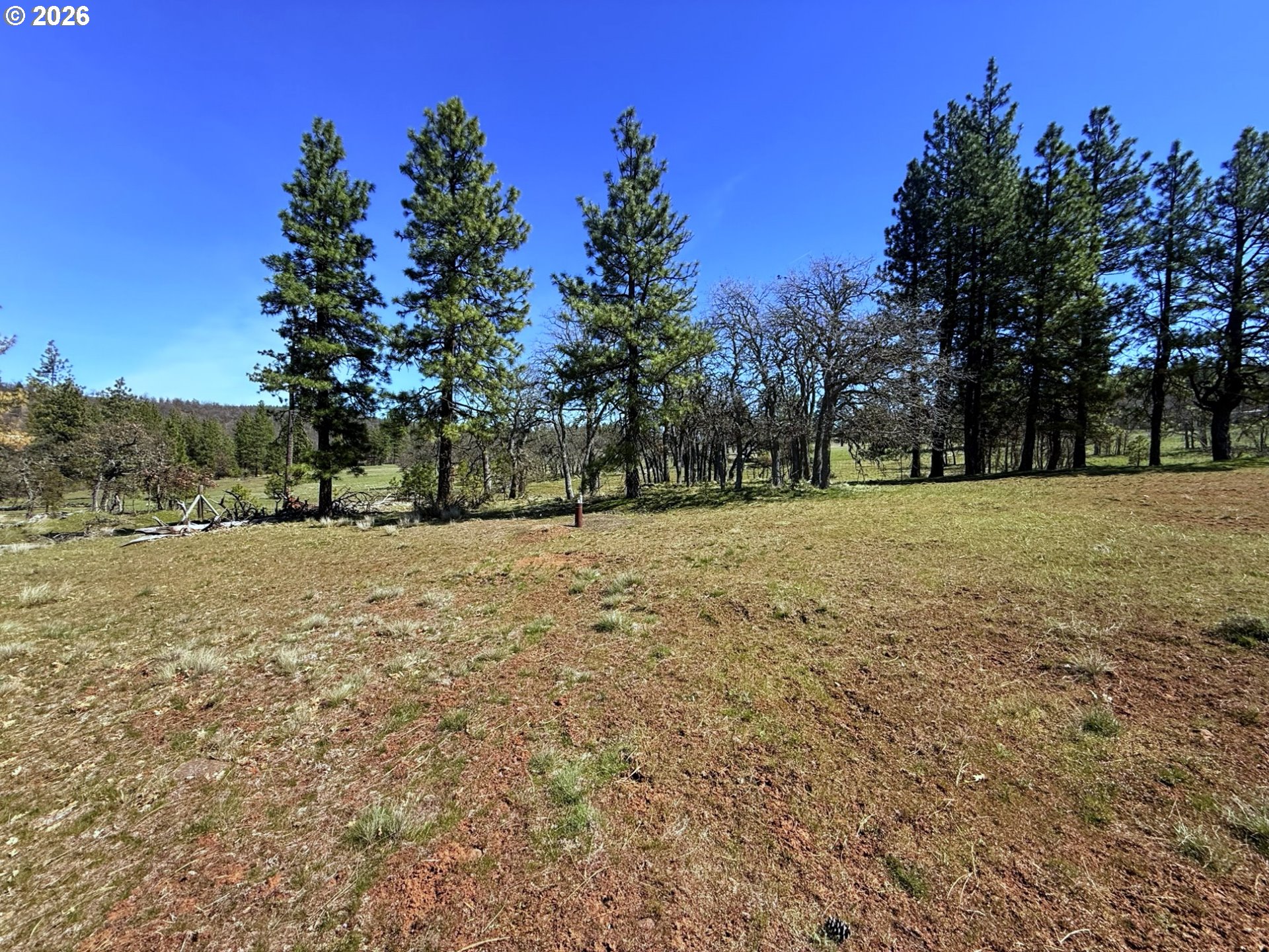 471 Woodland Road Goldendale, WA 98620 - Photo 19 of 43