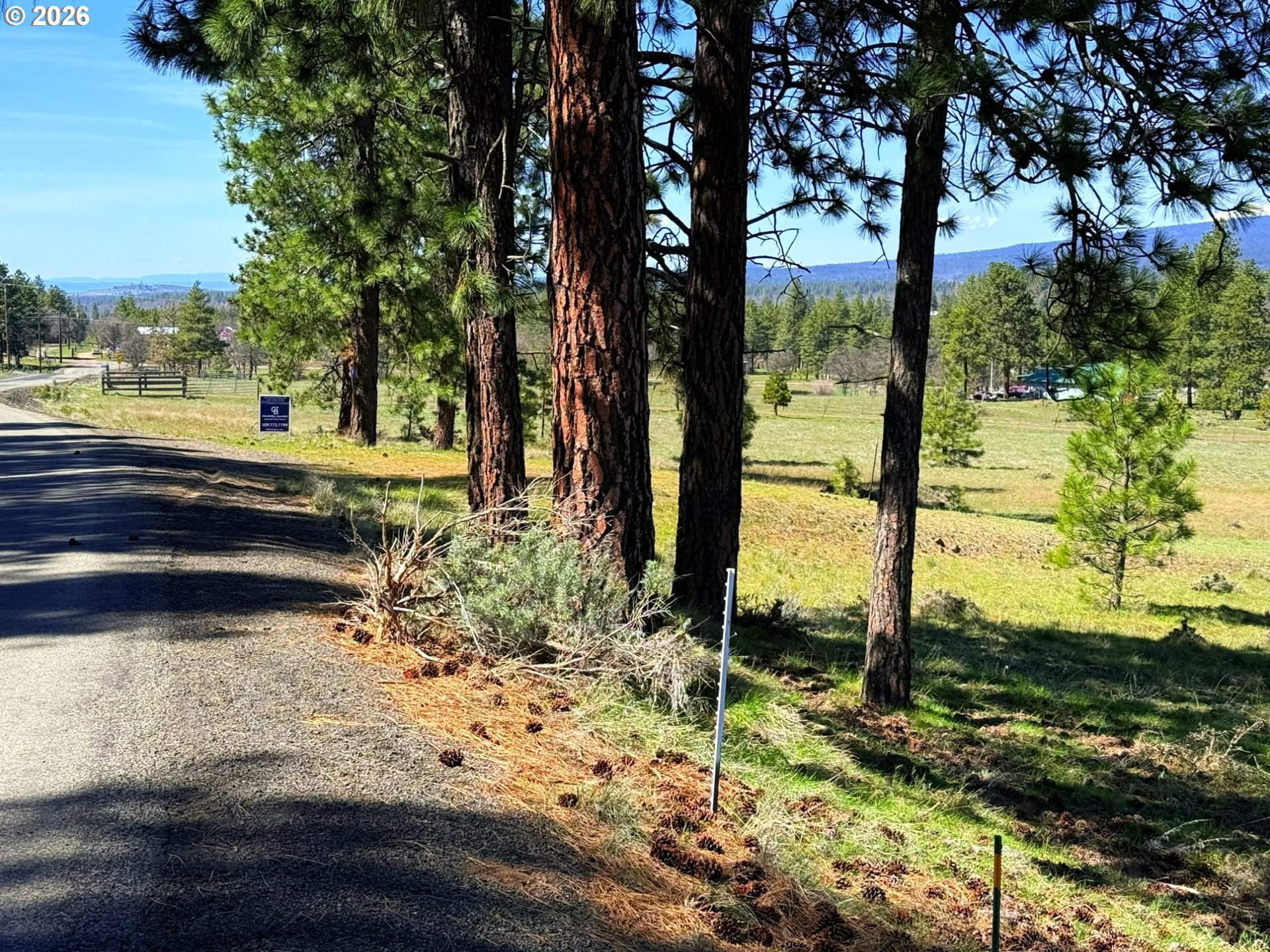 471 Woodland Road Goldendale, WA 98620 - Photo 2 of 43