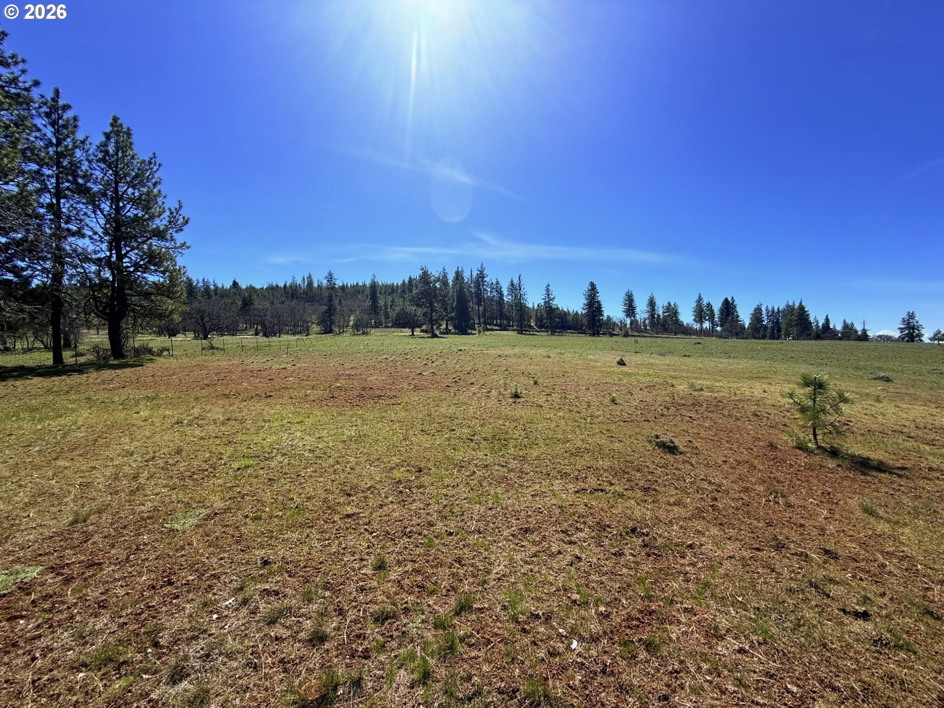 471 Woodland Road Goldendale, WA 98620 - Photo 22 of 43