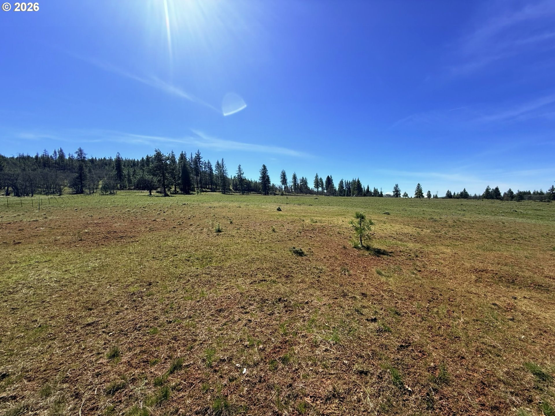 471 Woodland Road Goldendale, WA 98620 - Photo 23 of 43