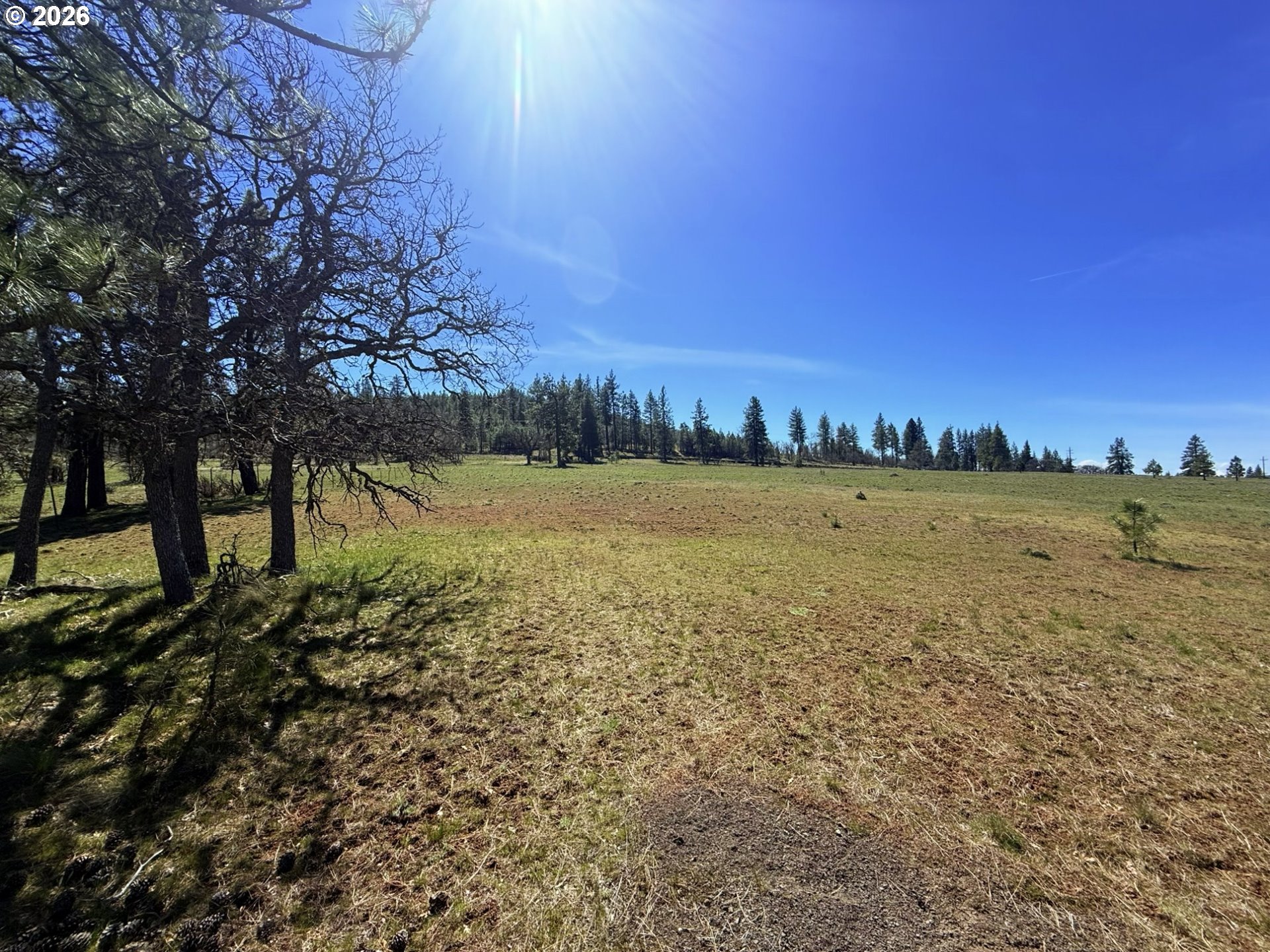 471 Woodland Road Goldendale, WA 98620 - Photo 24 of 43