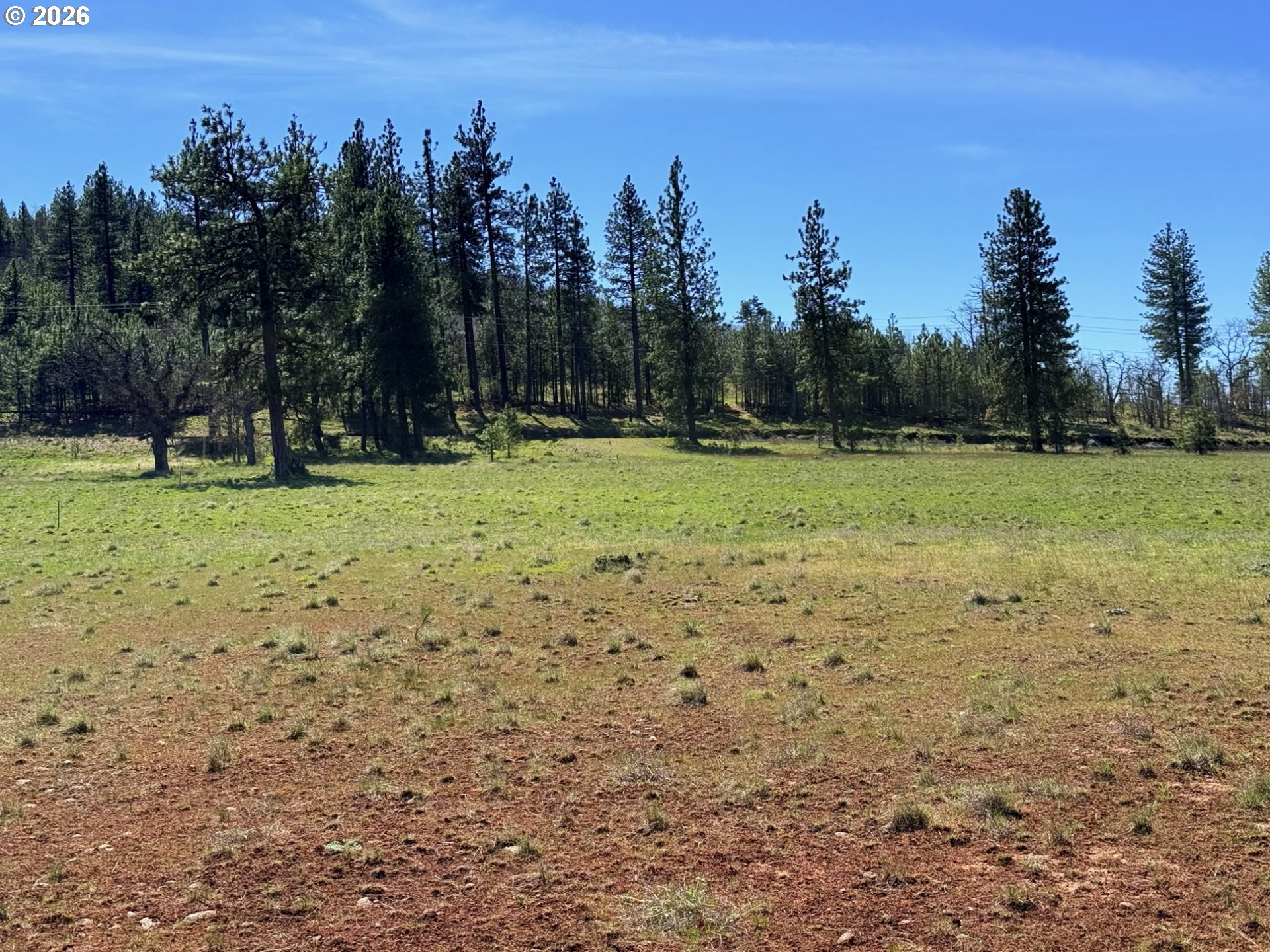 471 Woodland Road Goldendale, WA 98620 - Photo 25 of 43